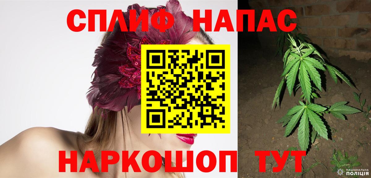 Бошки Шишки гибрид Краснокаменск